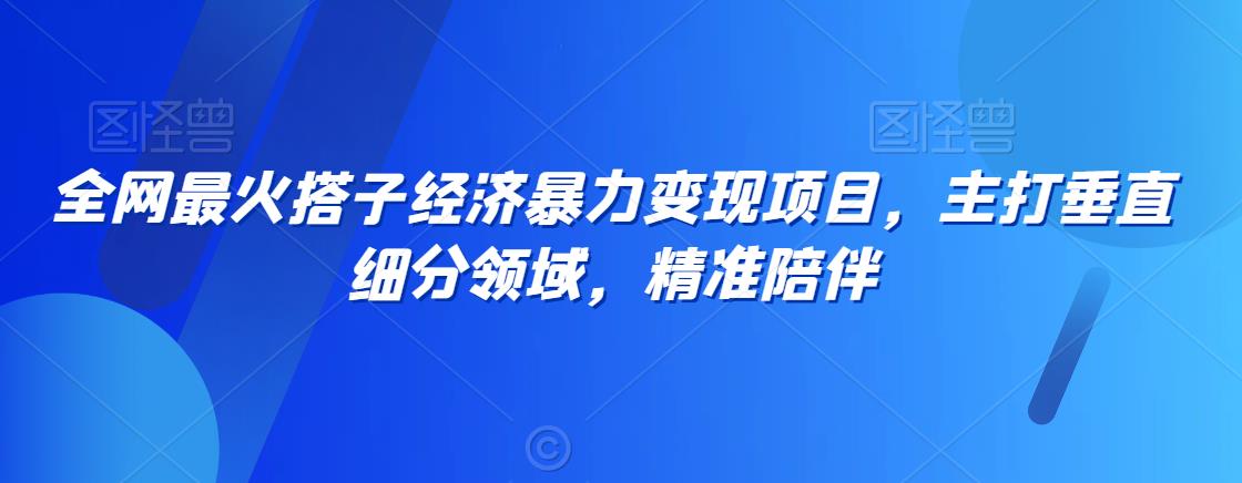 全网最火搭子经济暴力变现项目，主打垂直细分领域，精准陪伴【揭秘】-智慧宝库