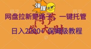 网盘拉新野路子，一键托管有号就行，全自动代发视频，每日躺赚2000＋，保姆级落地教程-智慧宝库