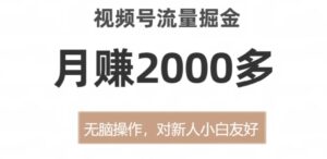 视频号流量掘金，月赚2000多，无脑操作，对新人小白友好-智慧宝库