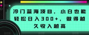 冷门蓝海项目,小白也能轻松日入300+,做得越久收入越高-智慧宝库