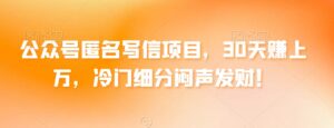 公众号匿名写信项目，30天赚上万，冷门细分闷声发财！-智慧宝库