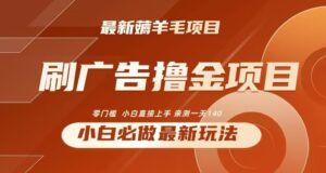 2024最新小白必撸项目，刷广告撸金最新玩法，亲测一天140【揭秘】-智慧宝库