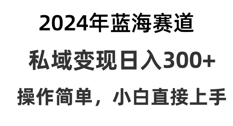 2024抖音蓝海赛道，私域变现日入300+，操作简单，每年只需一小时，纯小白可直接上手-智慧宝库