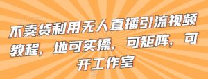 不卖货利用无人直播引流视频教程，地可实操，可矩阵，可开工作室【揭秘】-智慧宝库