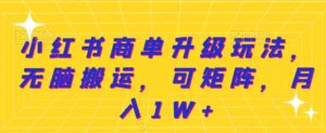 小红书商单升级玩法，无脑搬运，可矩阵，月入1W+-智慧宝库