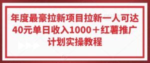 年度最豪拉新项目拉新一人可达40元单日收入1000+红薯推广计划实操教程【揭秘】-智慧宝库