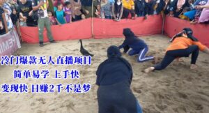 冷门爆款无人直播项目，简单易学上手快，变现快日赚2千不是梦【揭秘】-智慧宝库