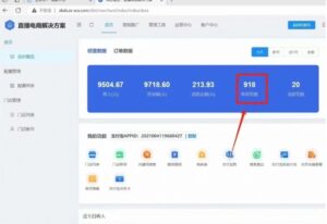 通过支付平台无人带货、不囤货佣金10%一键代发当天到手803块-智慧宝库