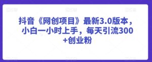 抖音《网创项目》最新3.0版本，小白一小时上手，每天引流300+创业粉【揭秘】-智慧宝库