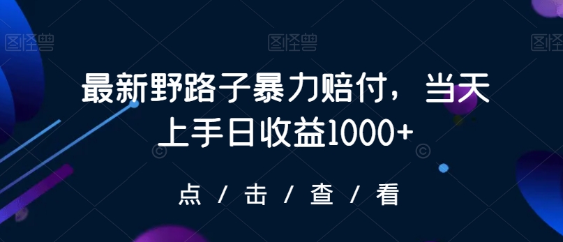 最新野路子暴力赔付，当天上手日收益1000+【仅揭秘】-智慧宝库