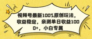 视频号最新100%原创玩法，收益稳定，亲测单日收益1000+，小白专属【揭秘】-智慧宝库