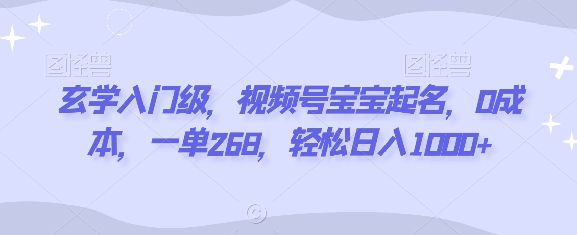 玄学入门级，视频号宝宝起名，0成本，一单268，轻松日入1000+【揭秘】-智慧宝库