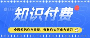 2024最新知识付费项目，小白也能轻松入局，全网都在教你做项目，我教你做镰刀【揭秘】-智慧宝库