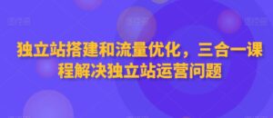 独立站搭建和流量优化,三合一课程解决独立站运营问题-智慧宝库