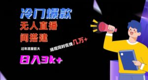冷门爆款直播间手把手搭建，流量巨大，日入3k+【揭秘】-智慧宝库