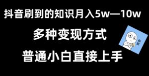 抖音刷到的知识，每天只需2小时，日入2000+，暴力变现，普通小白直接上手【揭秘】-智慧宝库