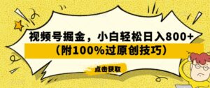 视频号掘金，小白轻松日入800+（附100%过原创技巧）【揭秘】-智慧宝库