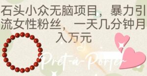 石头小众无脑项目，暴力引流女性粉丝，一天几分钟月入万元-智慧宝库