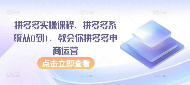 拼多多实操课程，拼多多系统从0到1，教会你拼多多电商运营-智慧宝库