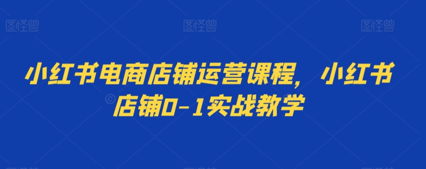 小红书电商店铺运营课程，小红书店铺0-1实战教学-智慧宝库