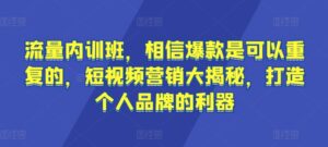 流量内训班,相信爆款是可以重复的,短视频营销大揭秘,打造个人品牌的利器-智慧宝库