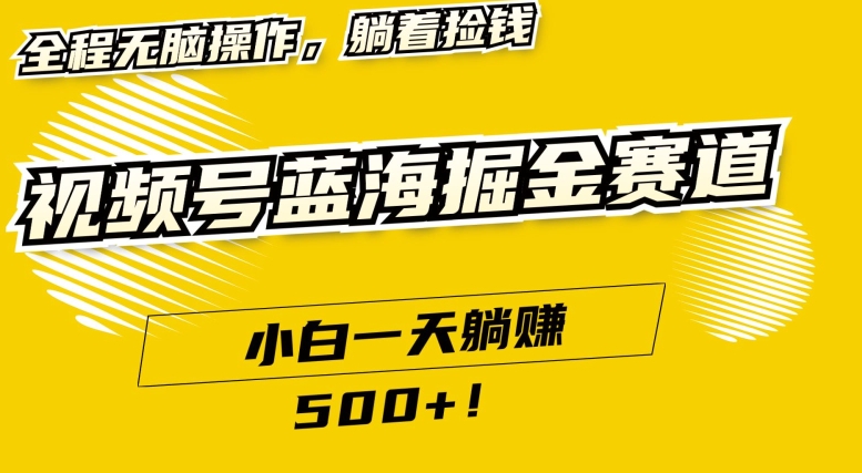 视频号蓝海小众赛道，小白一天躺赚500+，全程无脑操作，保姆式教学-智慧宝库