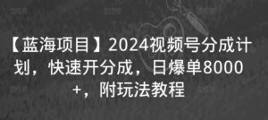 【蓝海项目】2024视频号分成计划，快速开分成，日爆单8000+，附玩法教程-智慧宝库
