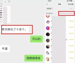 抖音最新引流创业粉+变现保姆式教程 直接无脑套模板即可-智慧宝库