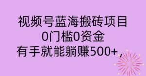 视频号蓝海搬砖项目,0门槛0资金,小白轻松上手,一天30分钟日入500+,堪比捡钱-智慧宝库