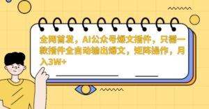 全网首发,AI公众号爆文插件,只需一款插件全自动输出爆文,矩阵操作,月入3W+【揭秘】-智慧宝库