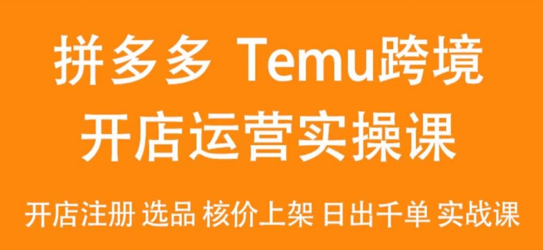 2024Temu最新玩法，Temu跨境开店运营实操课，开店注册/选品/核价上架/日出千单实战课-智慧宝库