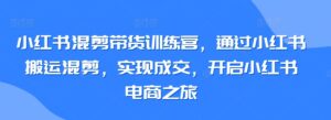 小红书混剪带货训练营，通过小红书搬运混剪，实现成交，开启小红书电商之旅-智慧宝库
