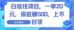 白捡钱项目，一单20元，保底赚500，上不封顶-智慧宝库