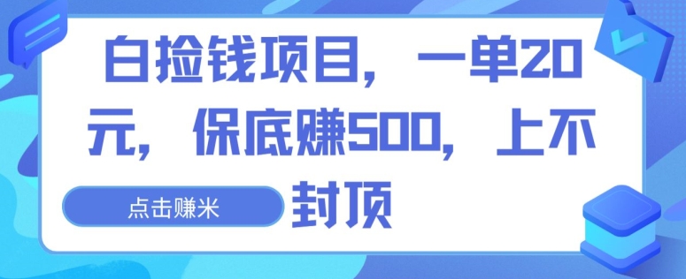 白捡钱项目，一单20元，保底赚500，上不封顶-智慧宝库