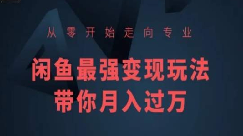 从零开始走向专业，闲鱼最强变现玩法带你月入过万-智慧宝库