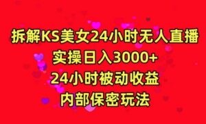 利用快手24小时无人美女直播，实操日入3000，24小时被动收益，内部保密玩法【揭秘】-智慧宝库