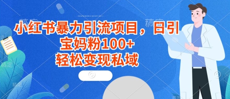 小红书暴力引流项目，日引宝妈粉100+，轻松变现私域-智慧宝库