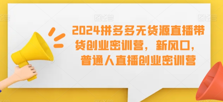 2024拼多多无货源直播带货创业密训营，新风口，普通人直播创业密训营-智慧宝库