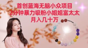 首创蓝海无脑小众项目,2分钟暴力吸粉小姐姐富太太,月入几十万【揭秘】-智慧宝库