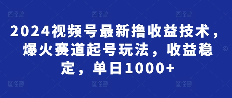 2024视频号最新撸收益技术，爆火赛道起号玩法，收益稳定，单日1000+-智慧宝库