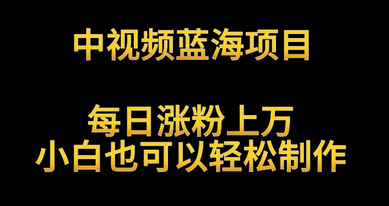 中视频蓝海项目，解读英雄人物生平，每日涨粉上万，小白也可以轻松制作，月入过万不是梦【揭秘】-智慧宝库