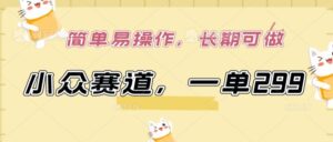 小众赛道,一单299.简单易操作,长期可做【揭秘】-智慧宝库