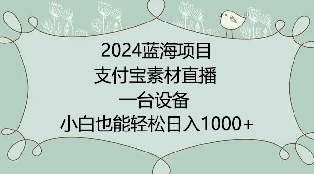 2024年蓝海项目，支付宝素材直播，无需出境，小白也能日入1000+ ，实操教程【揭秘】-智慧宝库