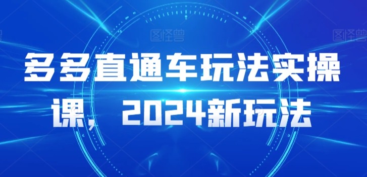 多多直通车玩法实操课，2024新玩法-智慧宝库