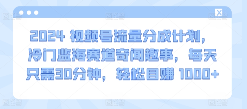 2024视频号流量分成计划，冷门监海赛道奇闻趣事，每天只需30分钟，轻松目赚 1000+【揭秘】-智慧宝库