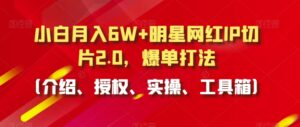 小白月入6W+明星网红IP切片2.0，爆单打法（介绍、授权、实操、工具箱）【揭秘】-智慧宝库