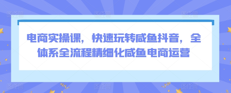 电商实操课，快速玩转咸鱼抖音，全体系全流程精细化咸鱼电商运营-智慧宝库