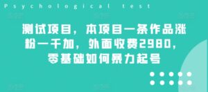 测试项目,本项目一条作品涨粉一千加,外面收费2980,零基础如何暴力起号-智慧宝库