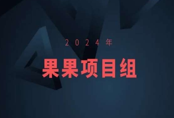 2024年果果项目组项目合集-果果最新项目-智慧宝库