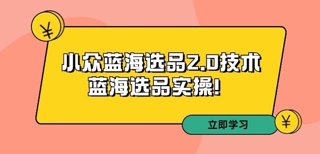 拼多多培训第33期：小众蓝海选品2.0技术-蓝海选品实操！-智慧宝库